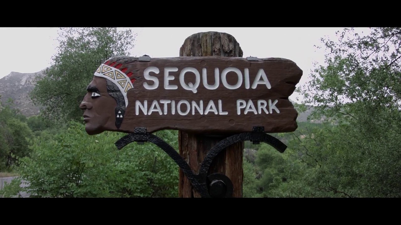 Sequoia NP in California - BMPCC - Olympus 9mm f8 & Cosmicar 8.5mm f1.5  - Resolve 14 BlackMagic