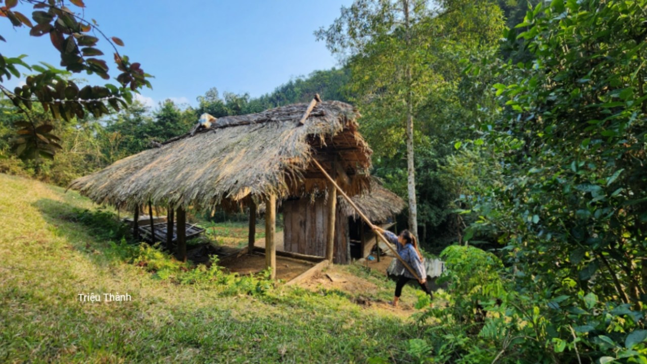 This video combines a 15-day journey of building a new life with the daily routines of Trieu Thanh.