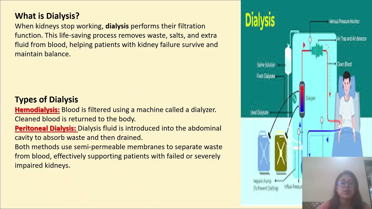 EXCRETION SYSTEM 2,Urine formation#urineformation #cbse #icse #biology #class10 #cbseboard #allboard
