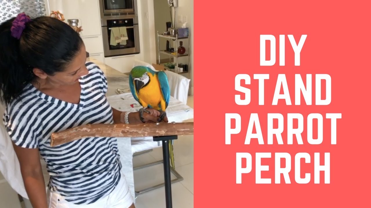 DIY STAND PARROT PEARCH