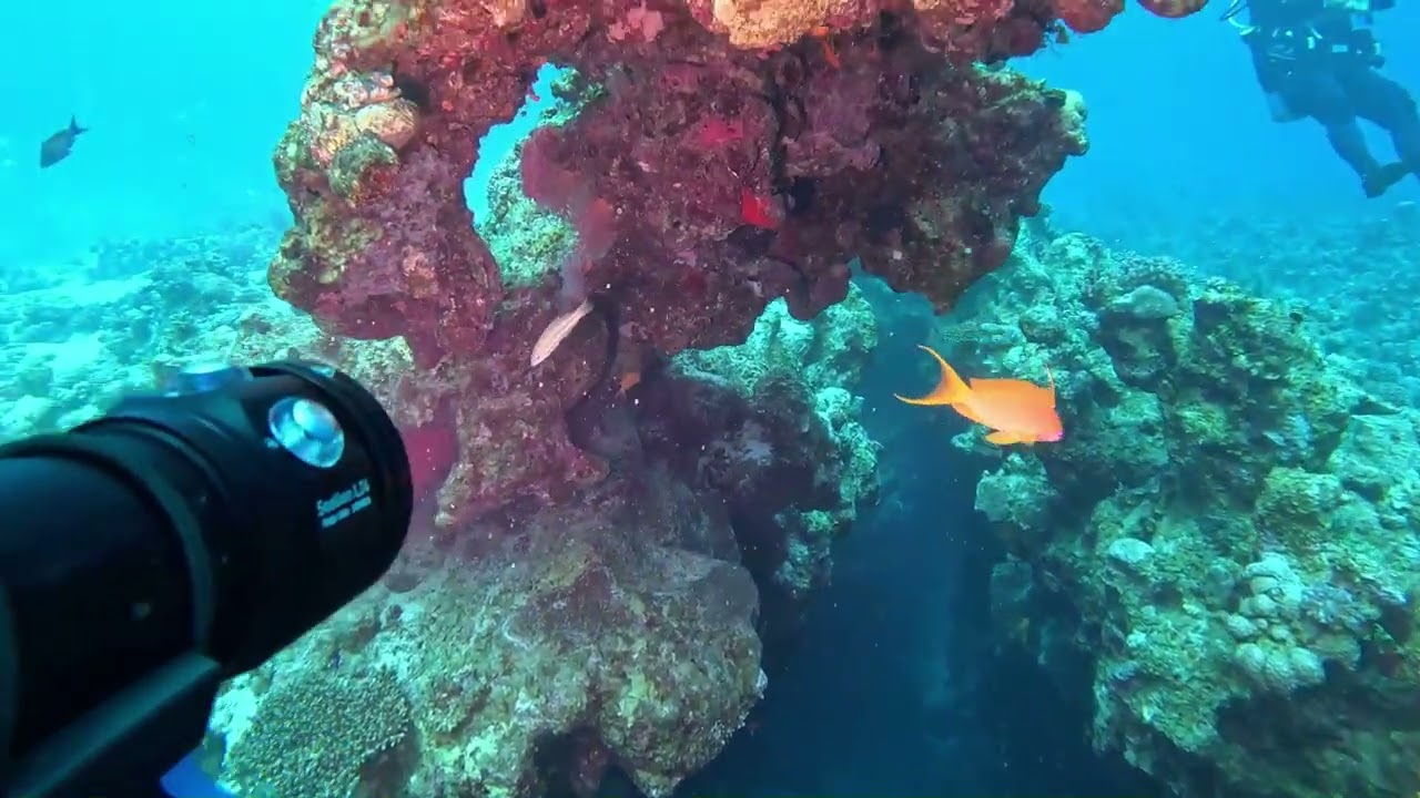 Dahab Canion 24 01 2026