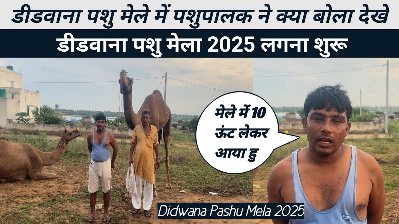 डीडवाना पशु मेला 2025 || Didwana Pashu Mela 2025 || Didwana News || Noor Express || Animal Fair 2025