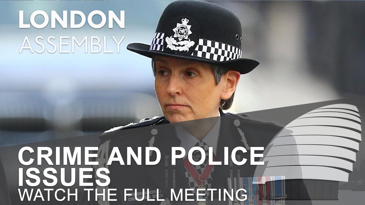 Crime and police issues