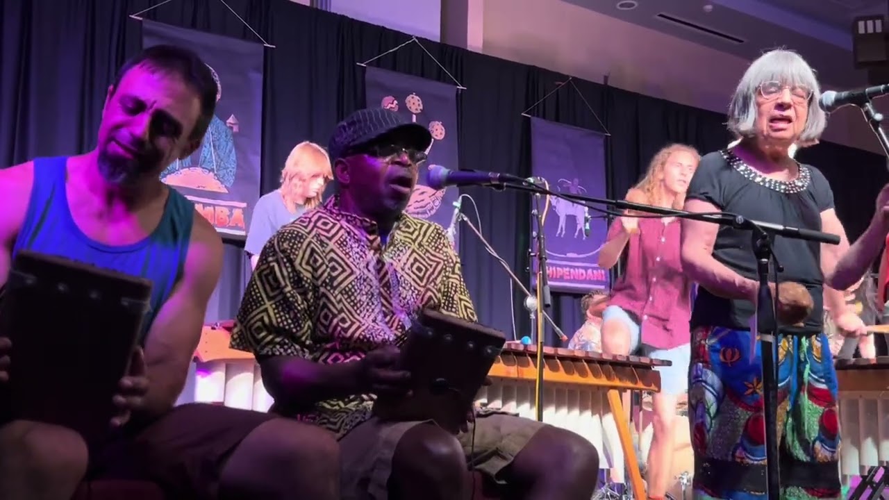 Todzungaira - stage left at Zimfest 2025