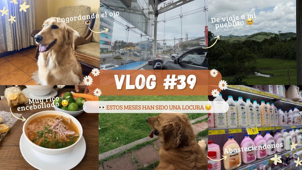 🎥✨ Vlog: Unos meses de locos ✨
