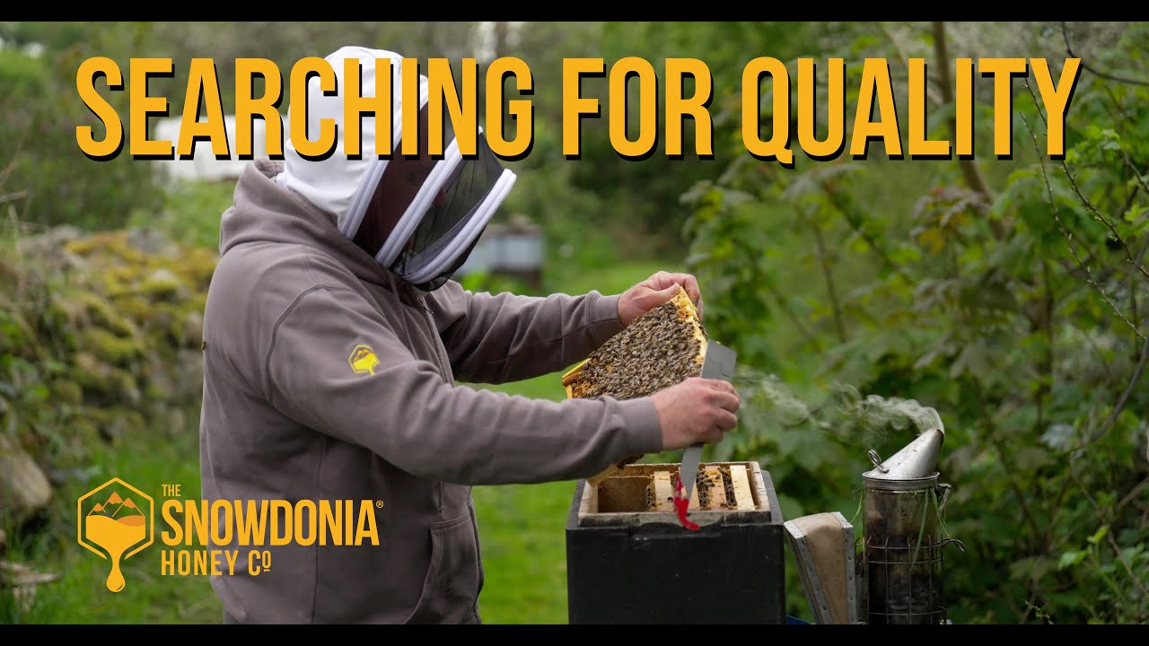 Searching for Quality | Selecting Our Breeder Queens