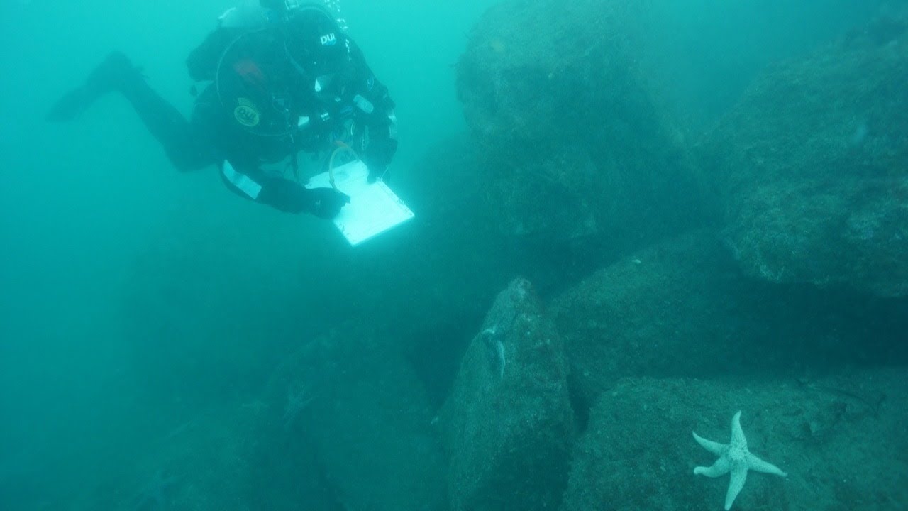 Глубокое погружение — Дайвинг в морских заповедниках Орегона