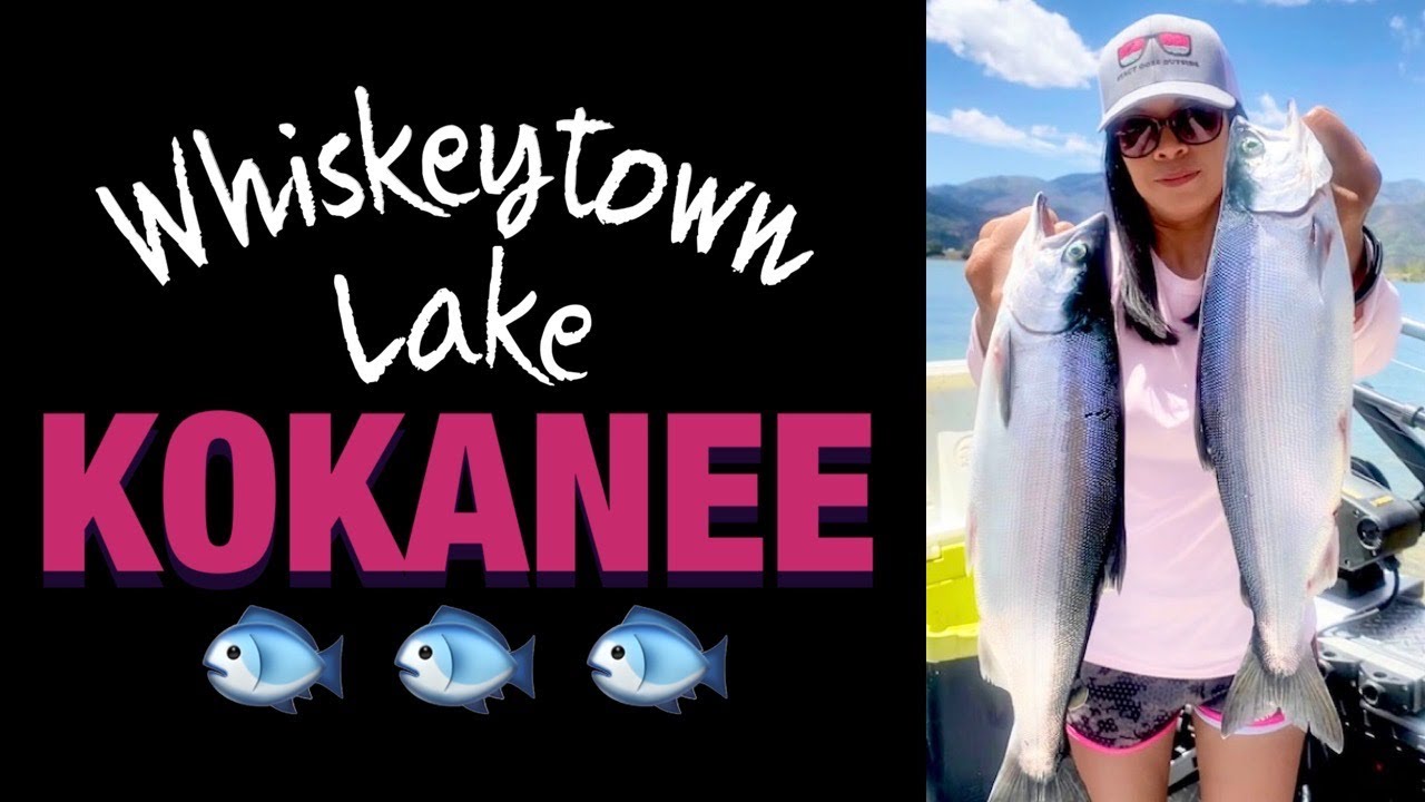 STACY CATCHES KOKANEE! 🎣 - Kokanee Salmon Fishing on Whiskeytown Lake with Cutthroat Guide Service