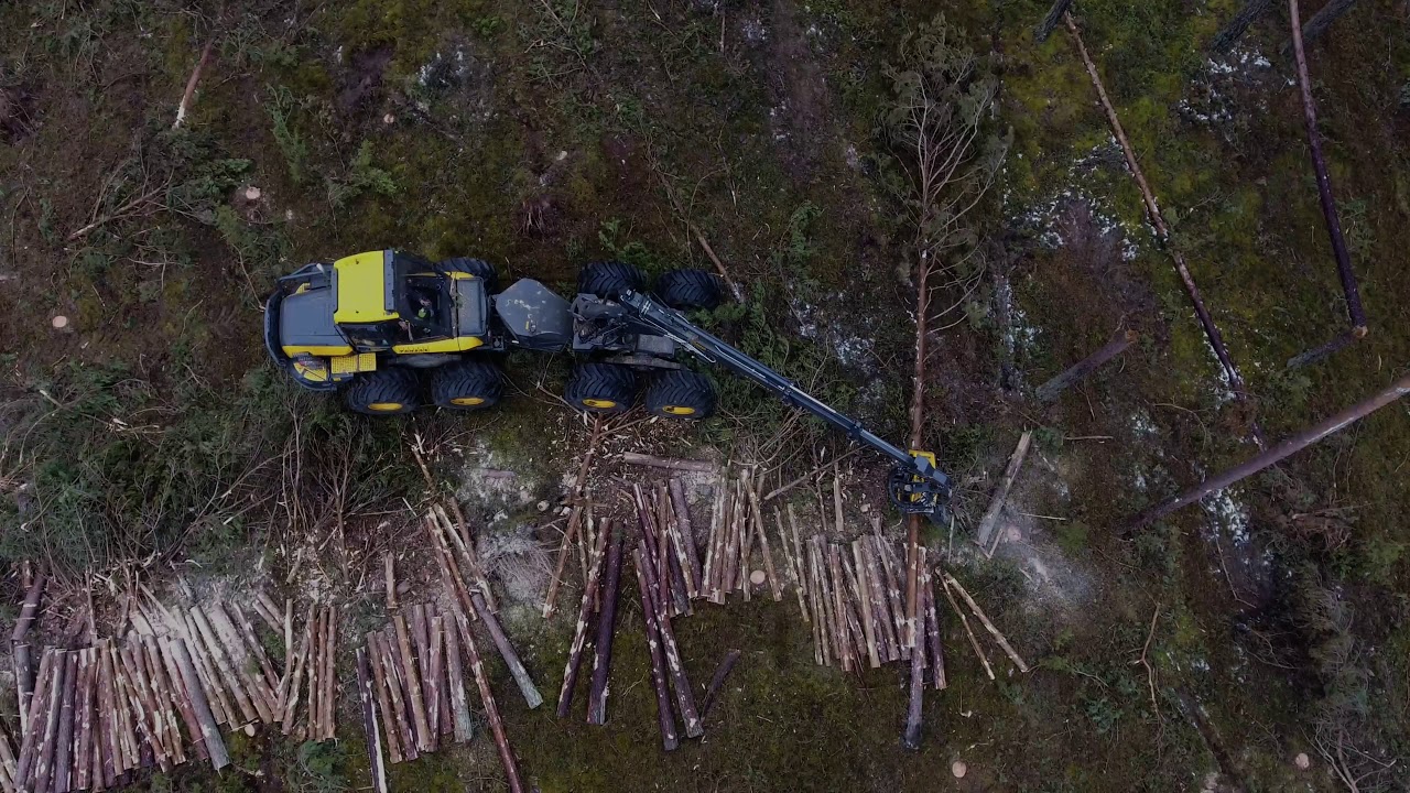 Wiatrołomy z niedzwiedziem xD  Ponsse Bear C6 H8