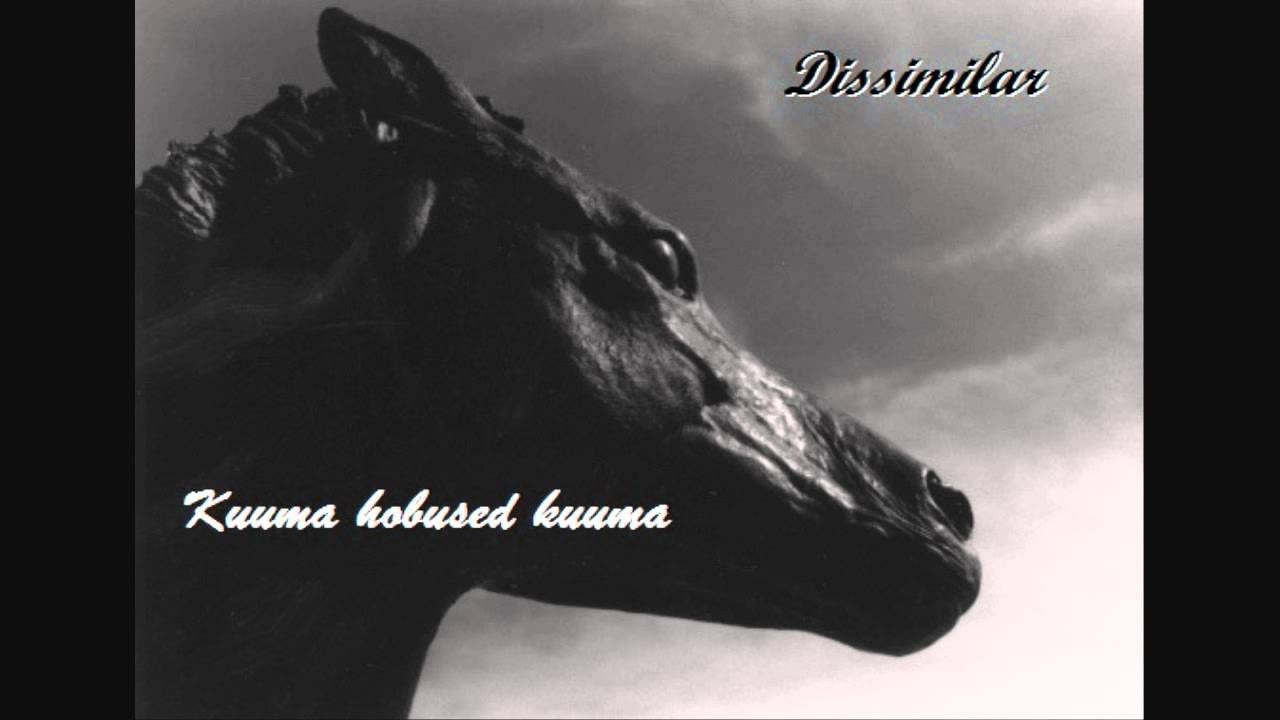 Dissimilar - Kuuma hobused kuuma