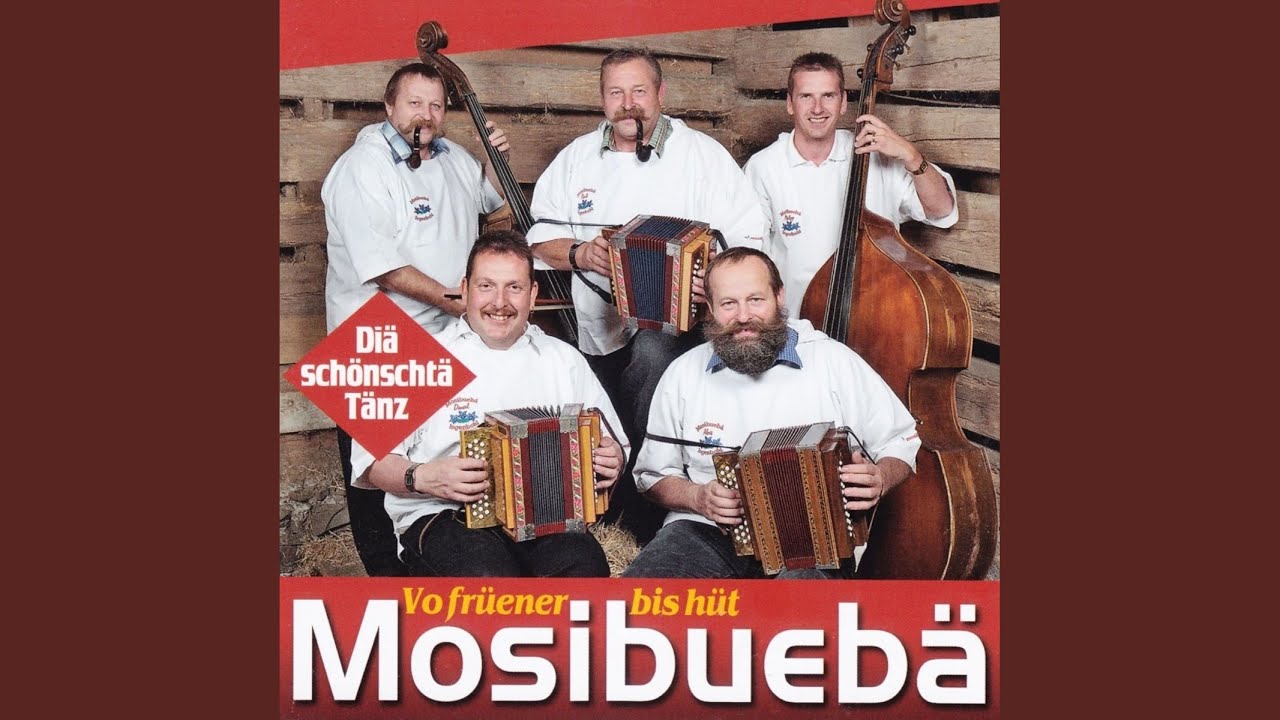 Zürcher Schmidig- Örgeli