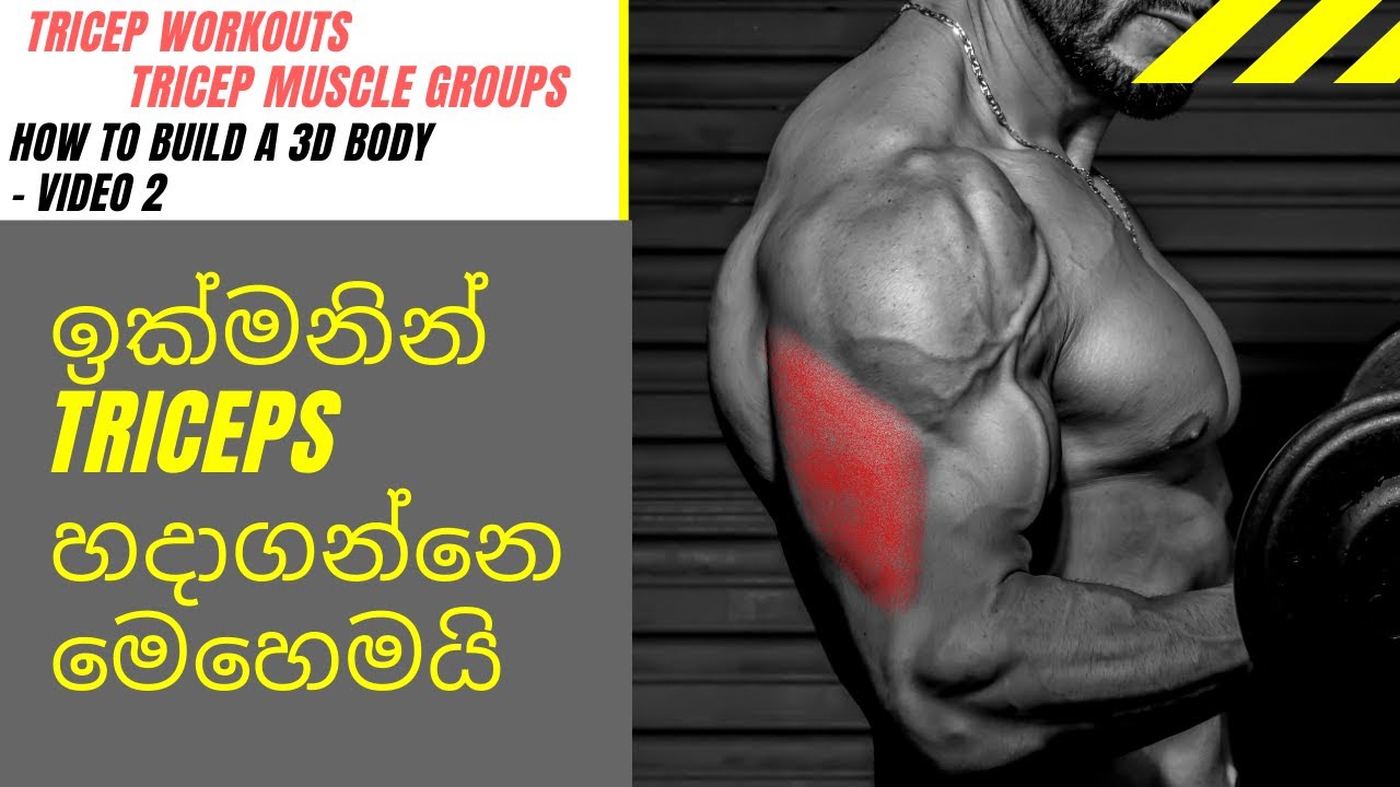 #Sinhala #Workouts  ඉක්මනින් TRICEPS හදාගන්නේ මෙහෙමයි.  HOW TO BUILD BIGGER TRICEPS WITHIN FEW WEEKS