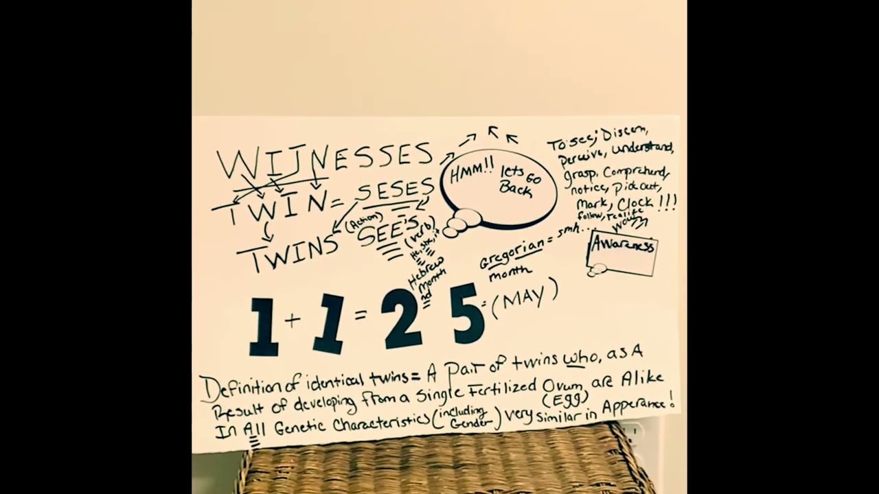 The Olive 🫒 Trees