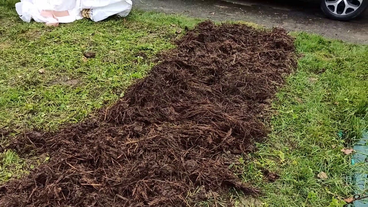 Apport de fumiers au Jardin et destruction de la moutarde 💩💩