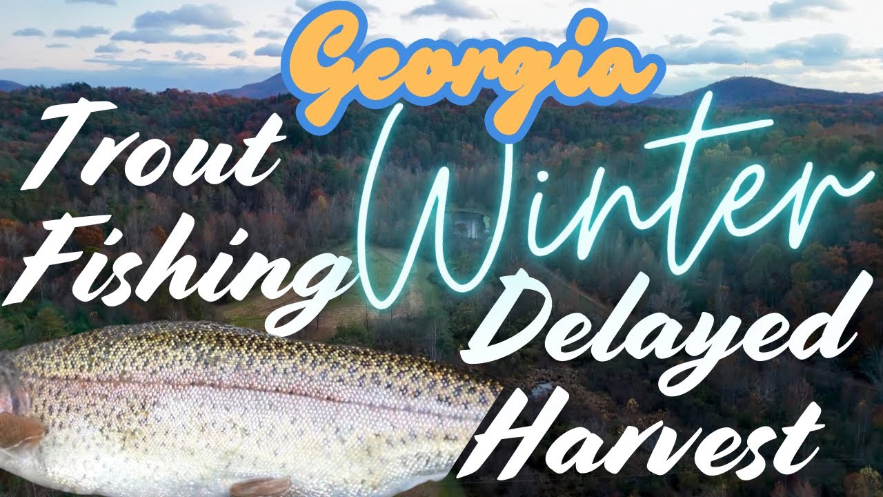 Winter Trout Fishing Georgia Delayed Harvest 