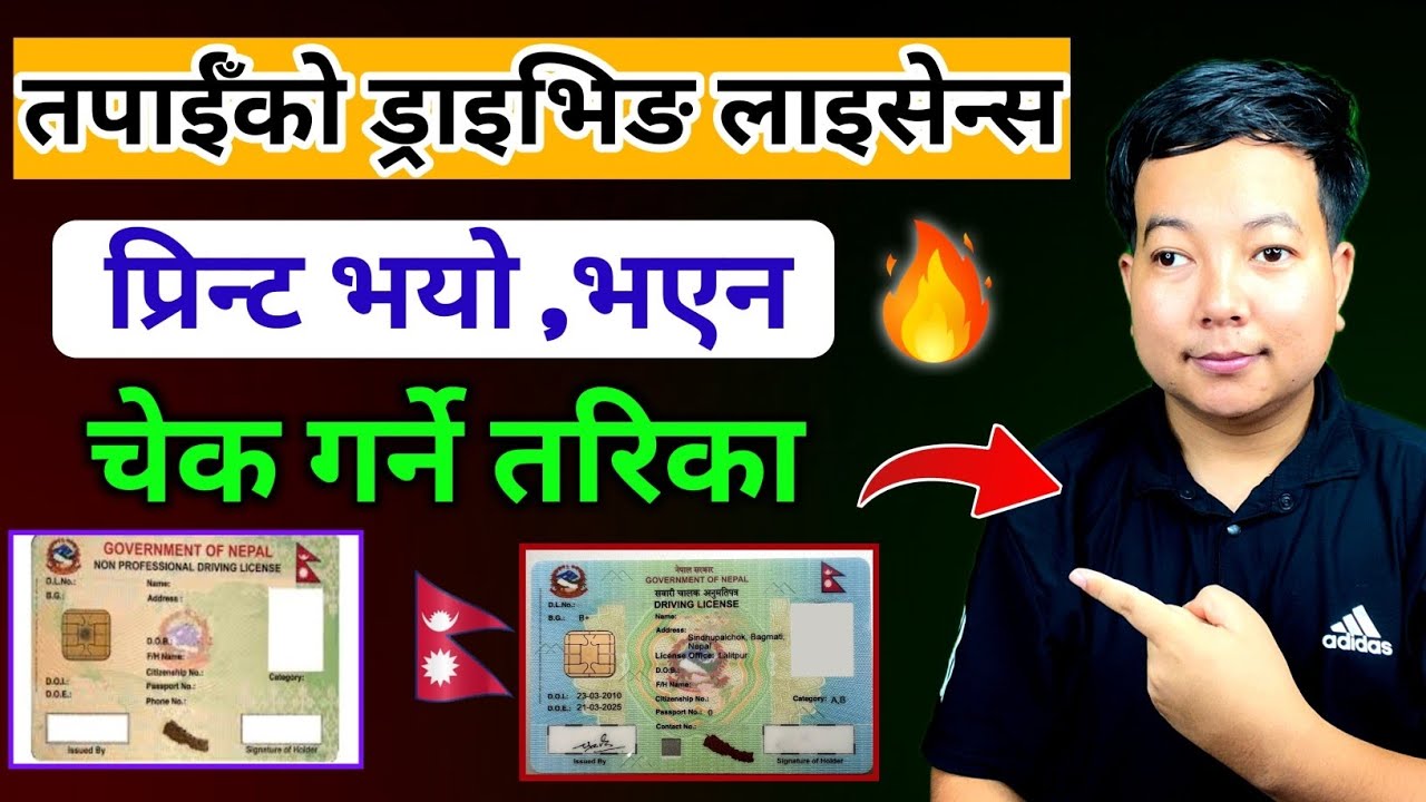 Driving licence print check in nepal l🔥 How to check driving licence printed or not l license print 