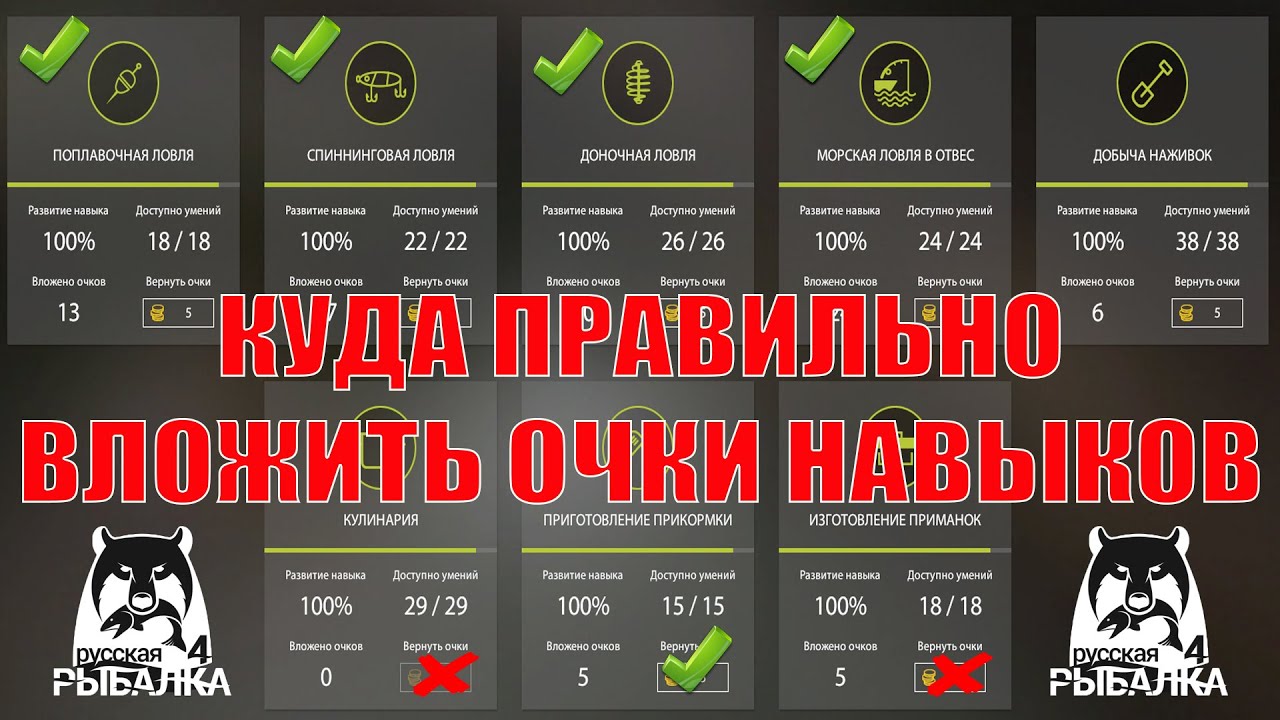 КАК ПРАВИЛЬНО ВЛОЖИТЬ РАСПРЕДЕЛИТЬ ОЧКИ НАВЫКОВ В РУССКОЙ РЫБАЛКЕ 4 РР4