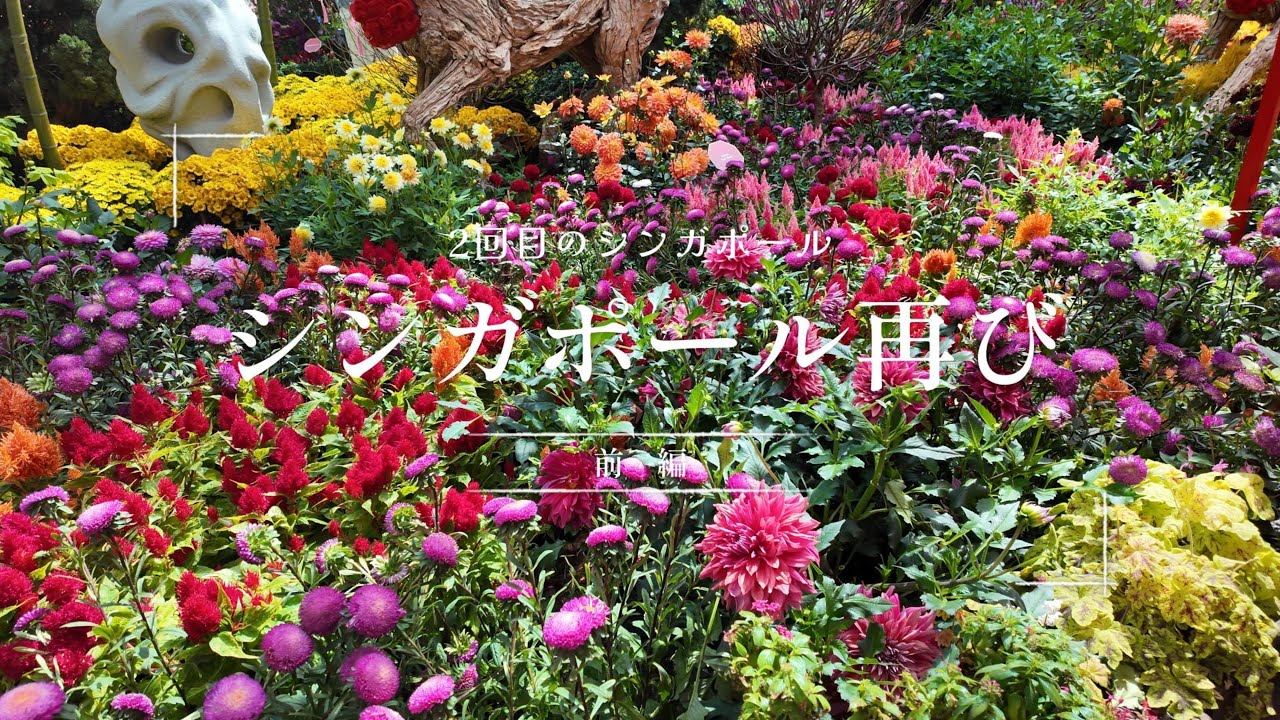シンガポール再び～前編