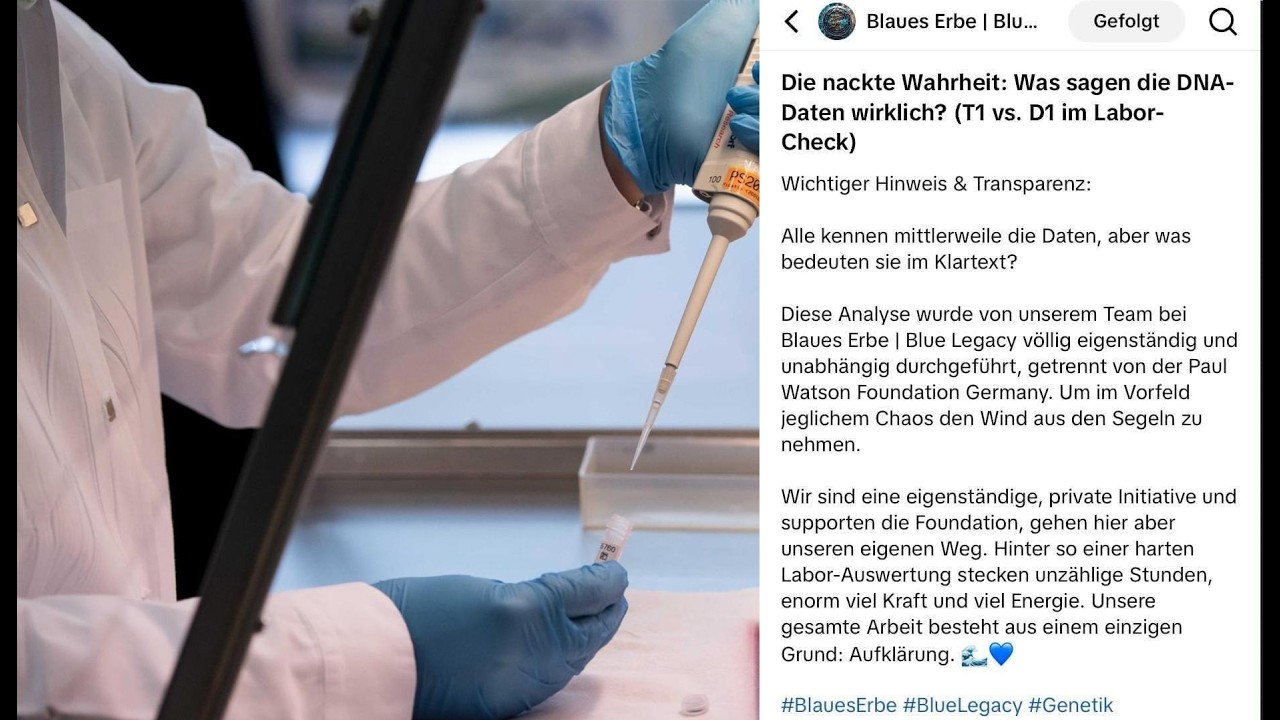 Wal Timmy Hope : Herkunft der Blue Legacy DNA Analyse gekl&auml;rt ! Und Petition f&uuml;r den Tierschutz