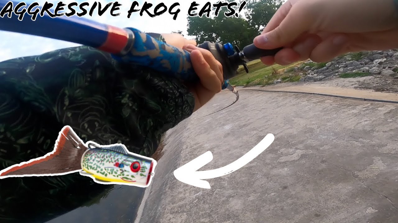 SUPER AGGRESSIVE Topwater Frog Eats! (Summer Pond Bassin&rsquo;!)