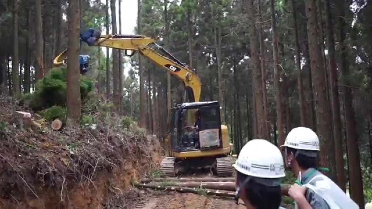 高性能林業機械：ハーベスタ（伐倒・枝払い・玉切り・集積）