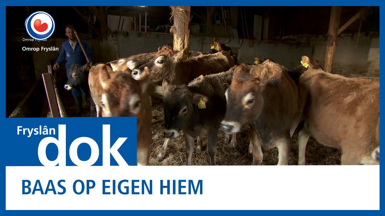 FRYSLAN DOK: Baas op eigen hiem
