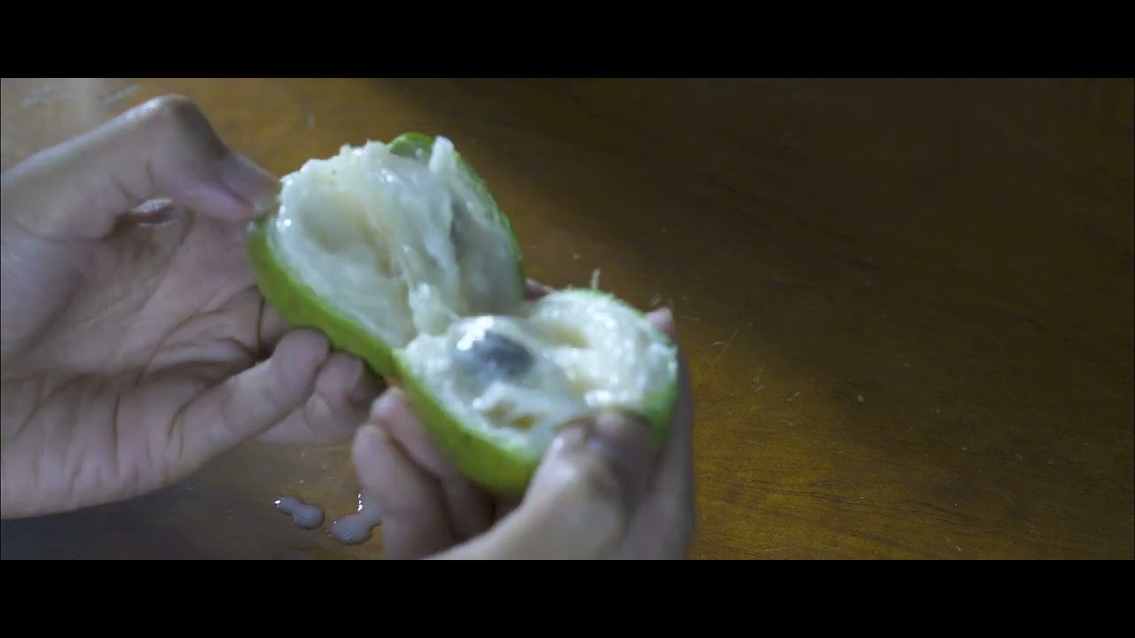 Satisfying ASMR Mukbang: Indulge in the Whispering Sounds of Eating Juicy Star Apple