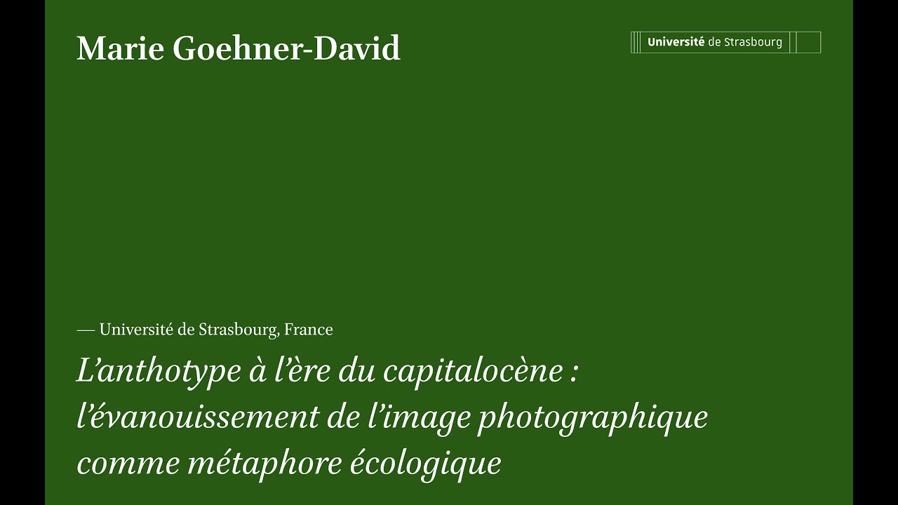 L’anthotype à l’ère du capitalocène, Marie Goehner-David