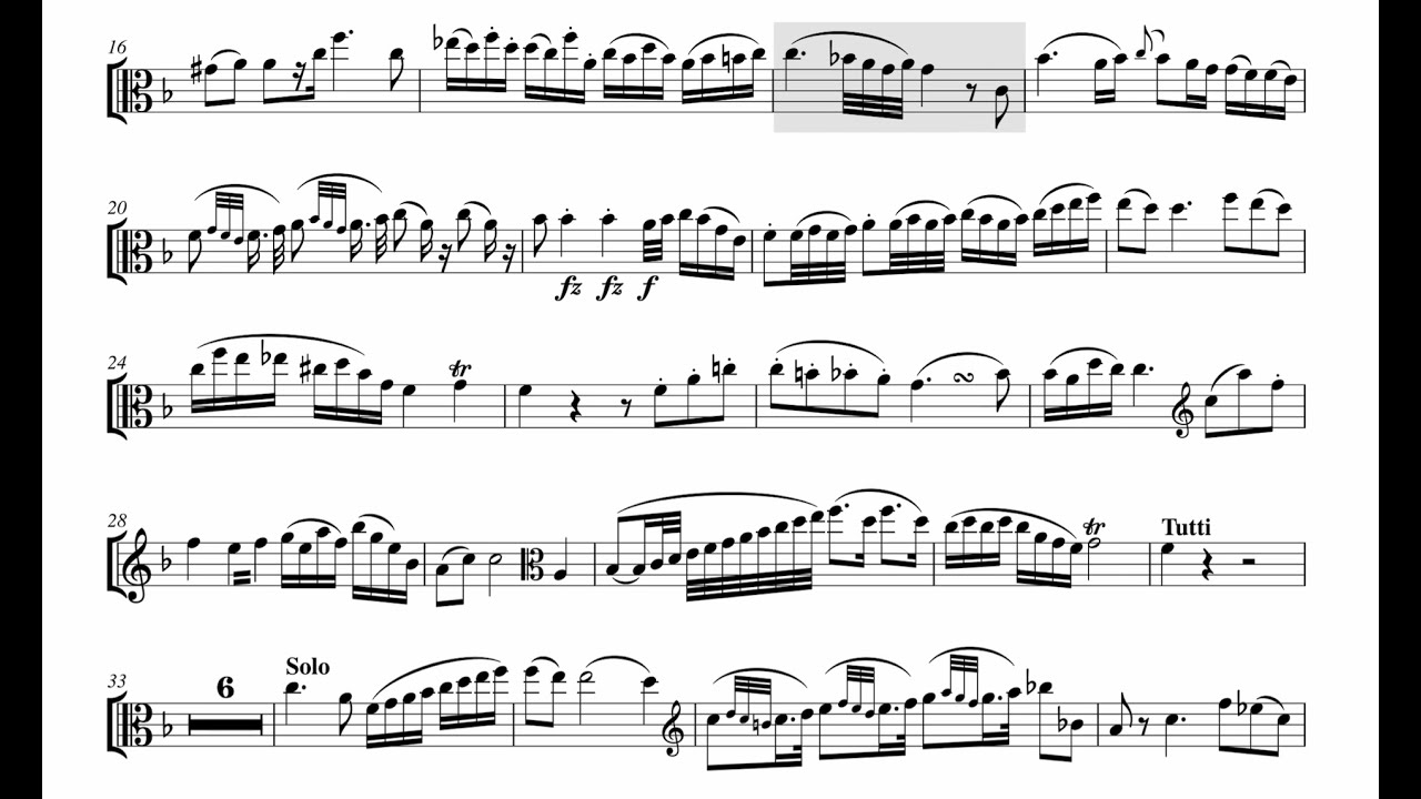 Hoffmeister Viola Concerto Mvt.2 ORCHESTRAL ACCOMPANIMENT