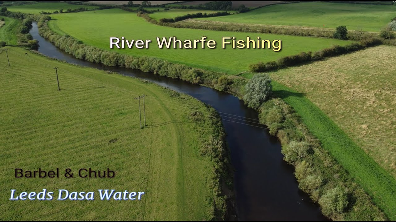 River Wharfe Fishing  Chub & Barbel   Aug 2023