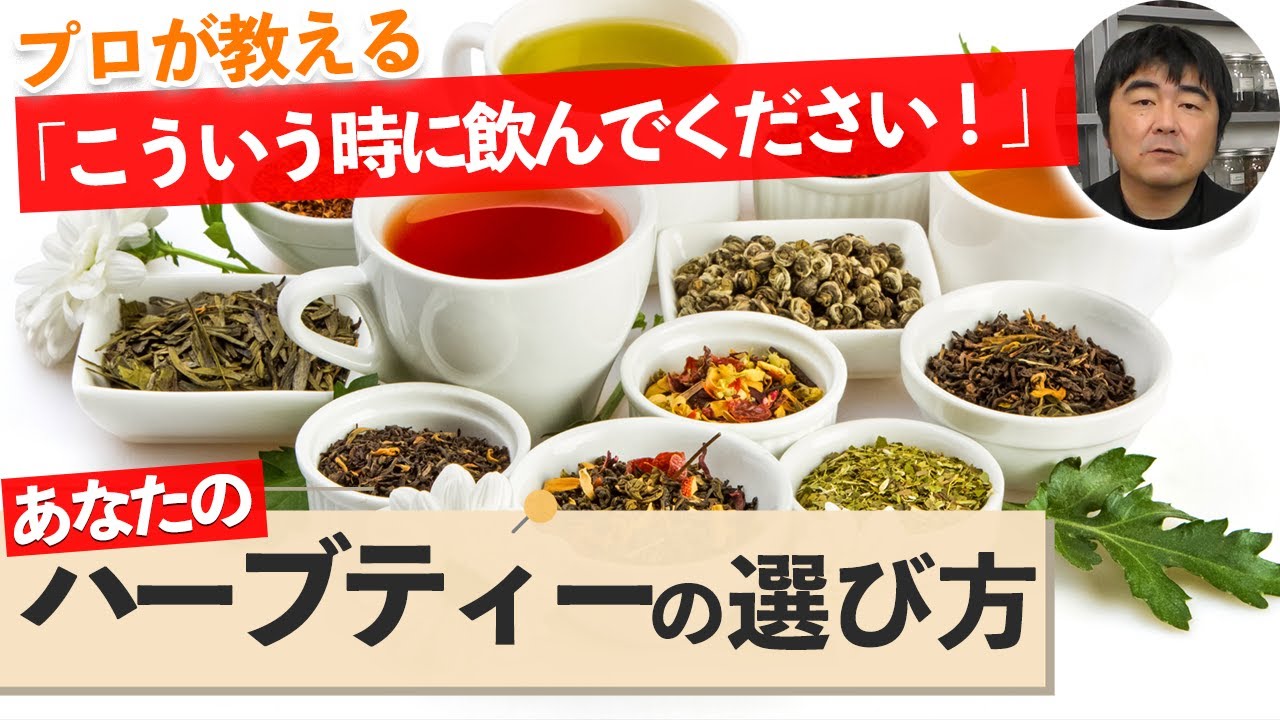 【徹底解説】これを見れば好みのハーブティーが選べます！【カモミール・ルイボス・業務用紅茶】