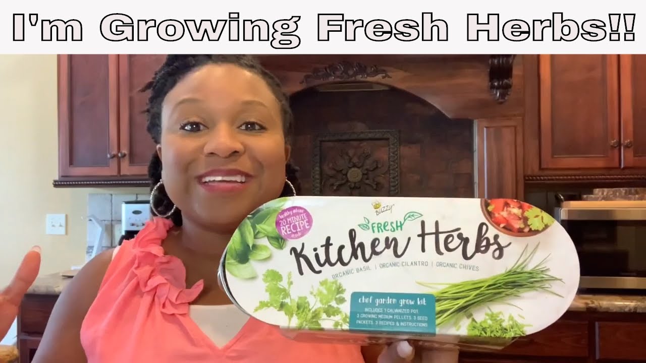 Trying Buzzy Kitchen Herbs!!