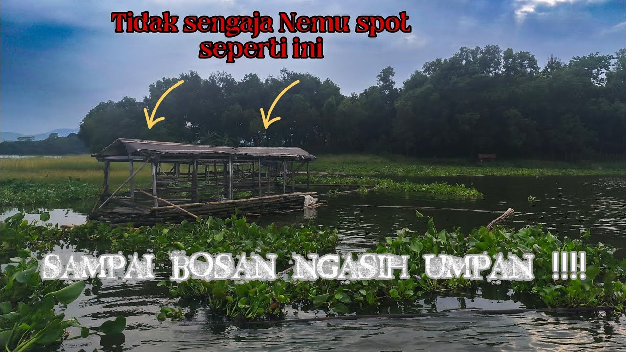 Diserang segerombol ikan seperti ini‼️sampai bosan strike‼️MANCING JATILUHUR TERBARU