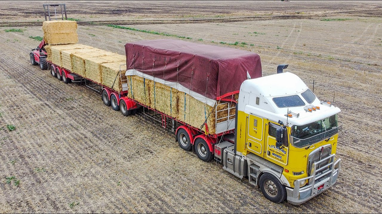 🤠 🇦🇺 HARVEST TIME - Chantier de Foin & Colza en Australie !!