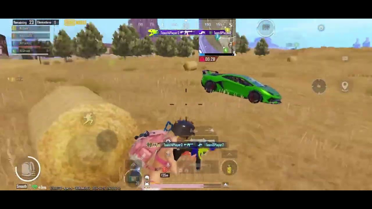 PUBGM