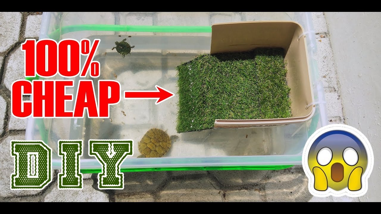 DIY Turtle Basking Area - 100% Cheap!