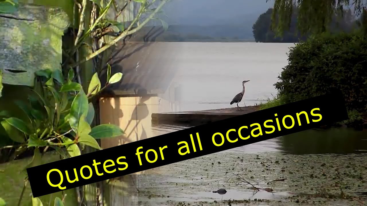 Quotes for all occasions