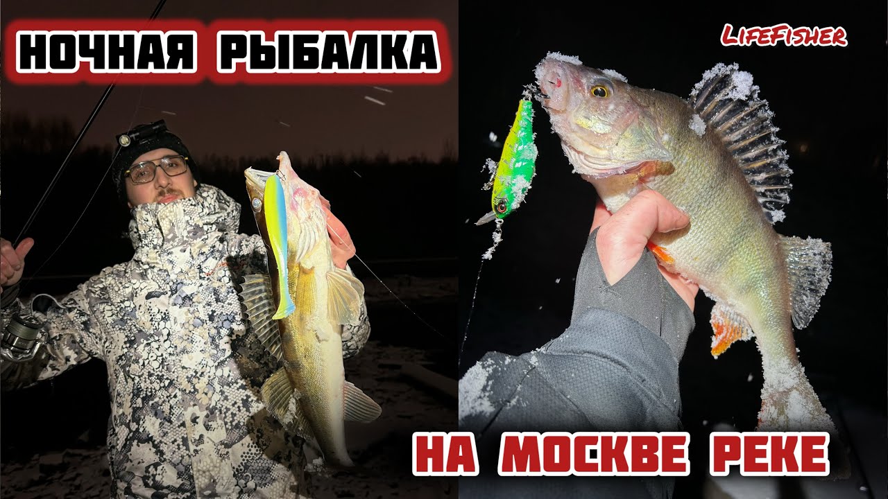 Рыбалка на Москве Реке НОЧЬЮ. Судак. Щука. Окунь. Бобер.