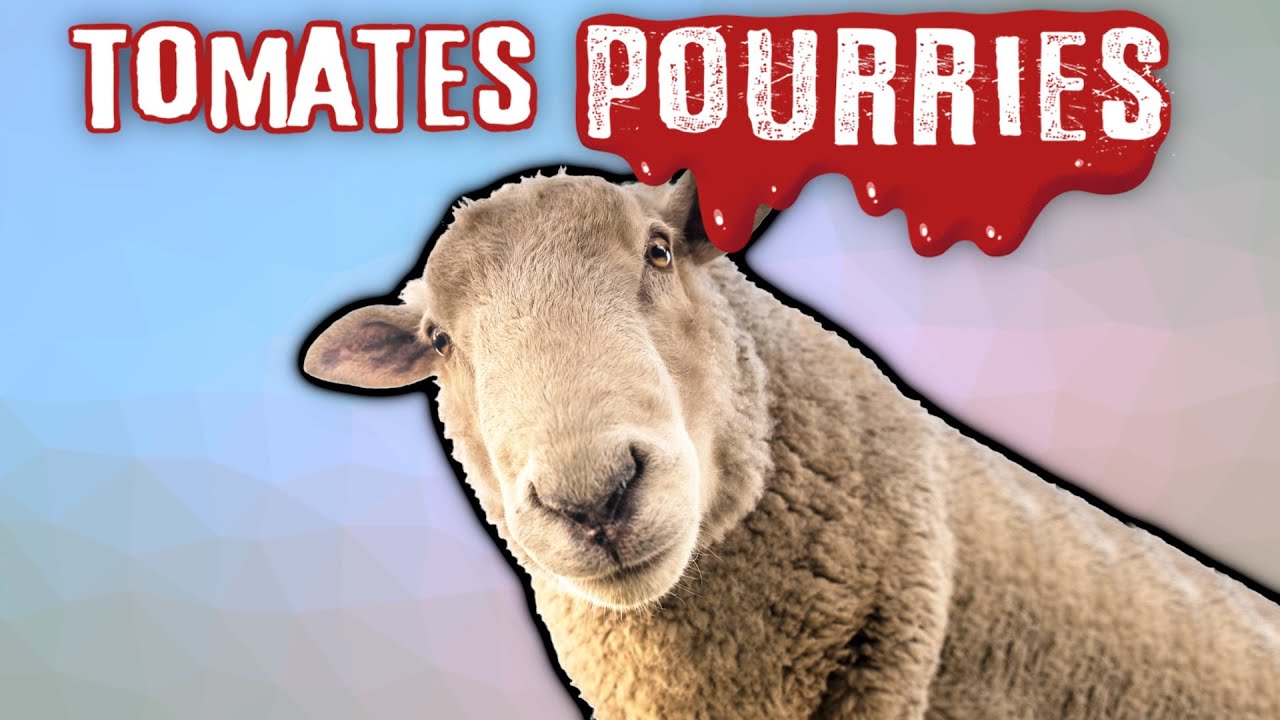 🍅 Dans le doute, LYNCHONS :P - Cancel Culture : Evolution ou Régression ? Tomates Pourries !