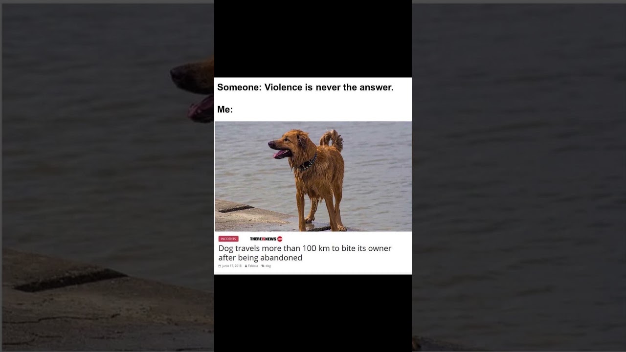 Memes #shorts #viral #trending