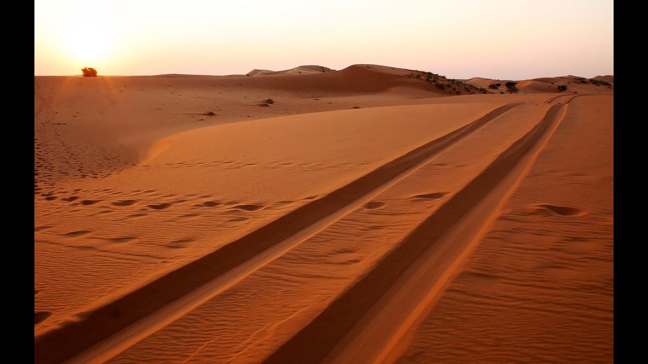 The History of the Kalahari. By Mike Main and Andrew St Pierre White