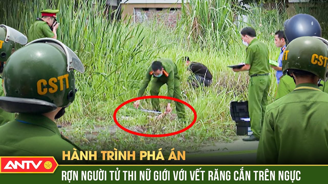 Từ chiếc xe Vision không biển số, Công an tóm cổ gã trộm 'làm bậy' với thiếu nữ | Hành trình phá án