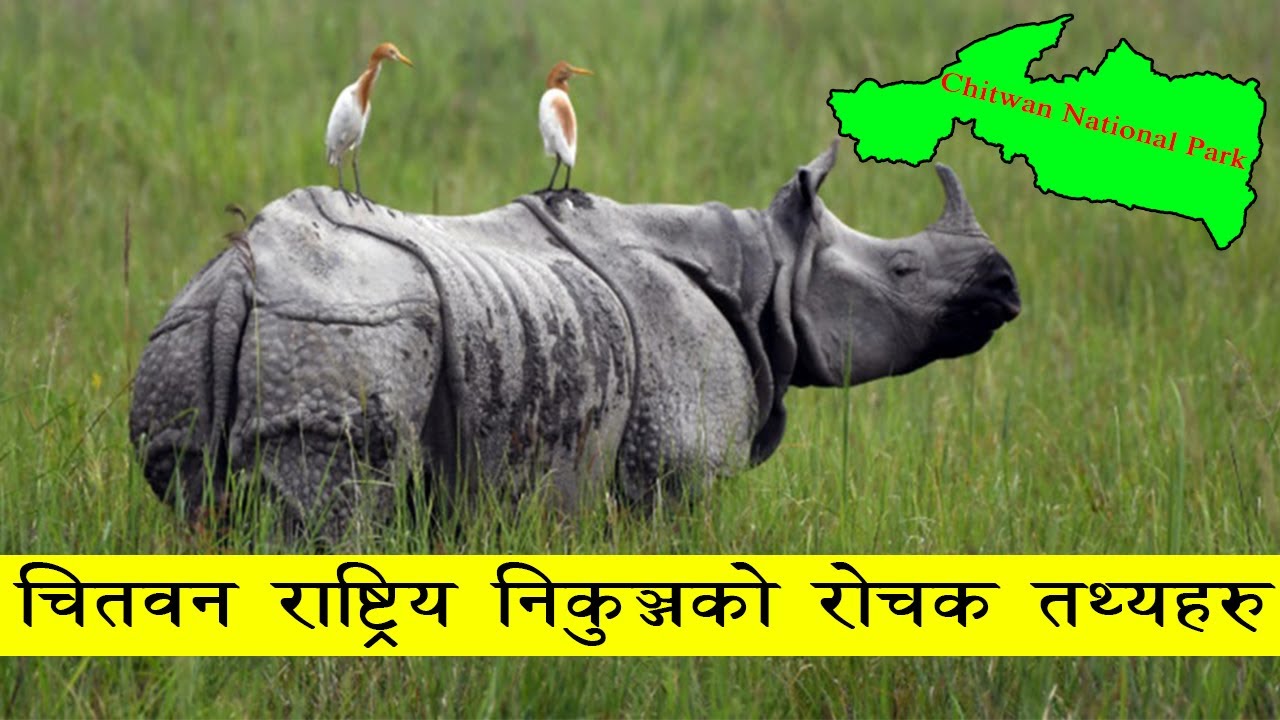 चितवन राष्ट्रिय निकुञ्जको विस्तृत विवरण र रोचक तथ्यहरु | Chitwan NP