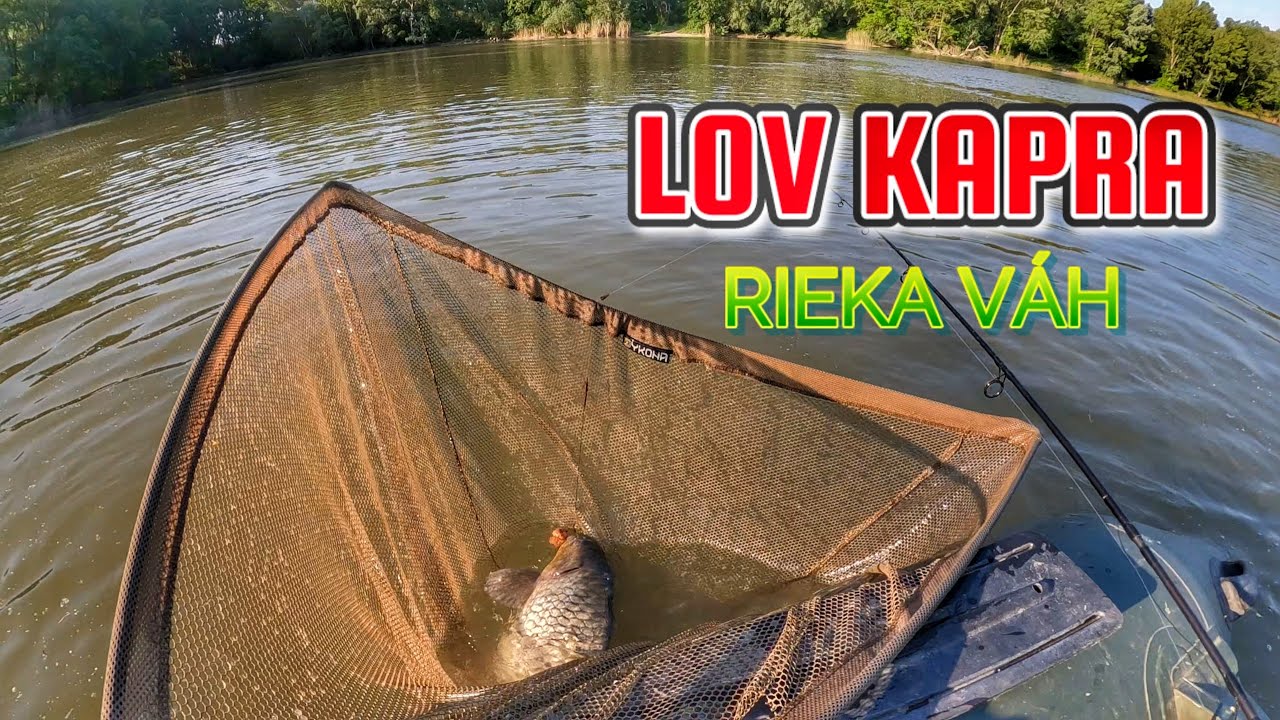 LOV KAPRA🐟🐟  30 - Rieka Váh -  štastné aj smutné chvíle