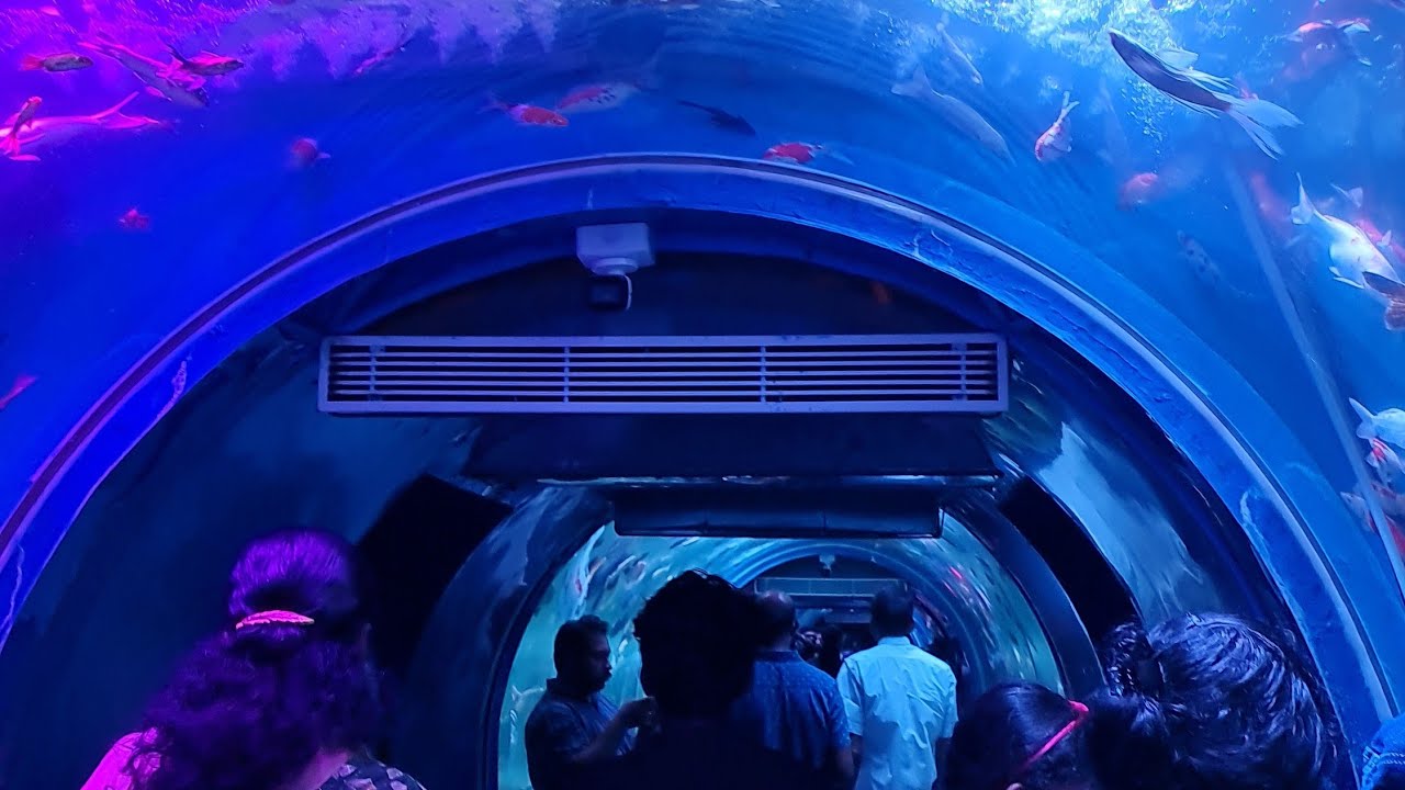 Acrylic under water tunnel Alappuzha