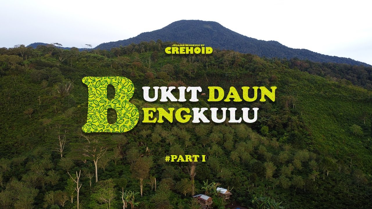 Bahaya Mendaki Gunung Tanpa Persiapan - Bukit Daun Bengkulu |Bukit Barisan | Jelajah Bengkulu #3 |