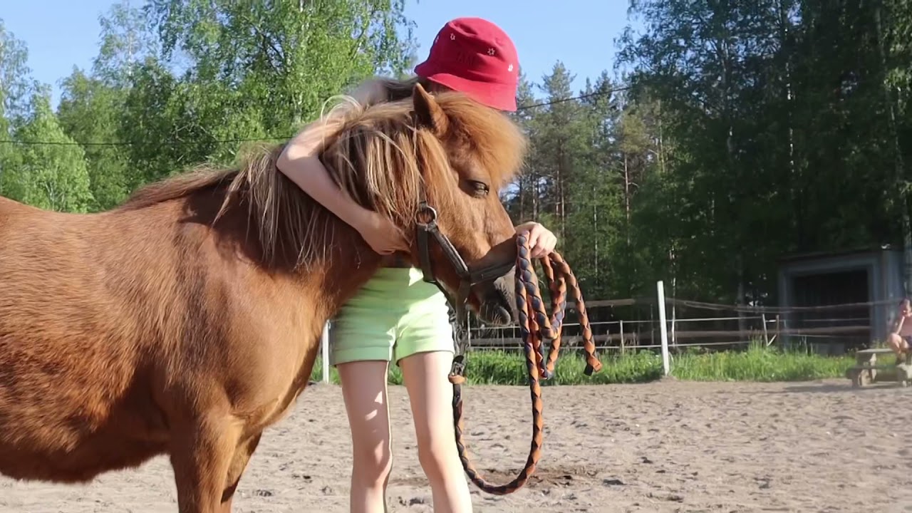 Kuka varasti lauran?lyhytelokuva by kkbt:D