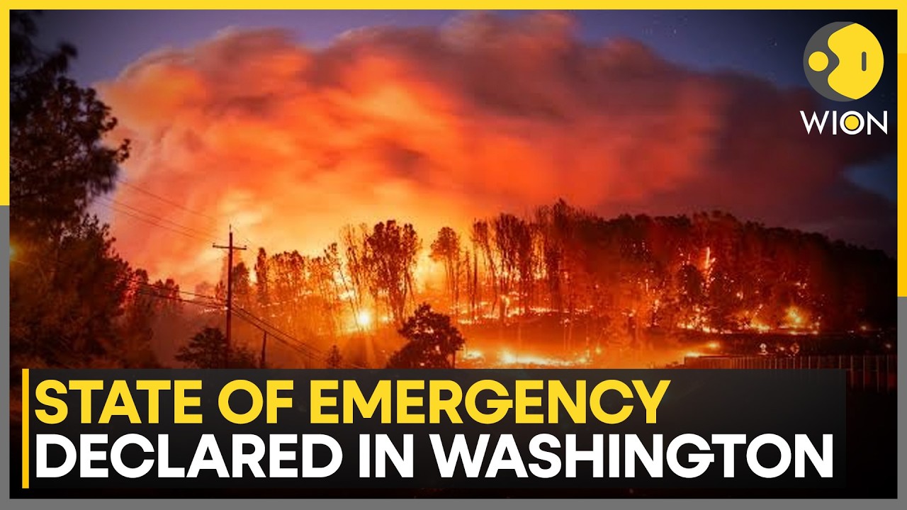 US Wildfires: 5.1 Million Acres Burned Across US, No Deaths Or Injuries Confirmed So Far | WION News