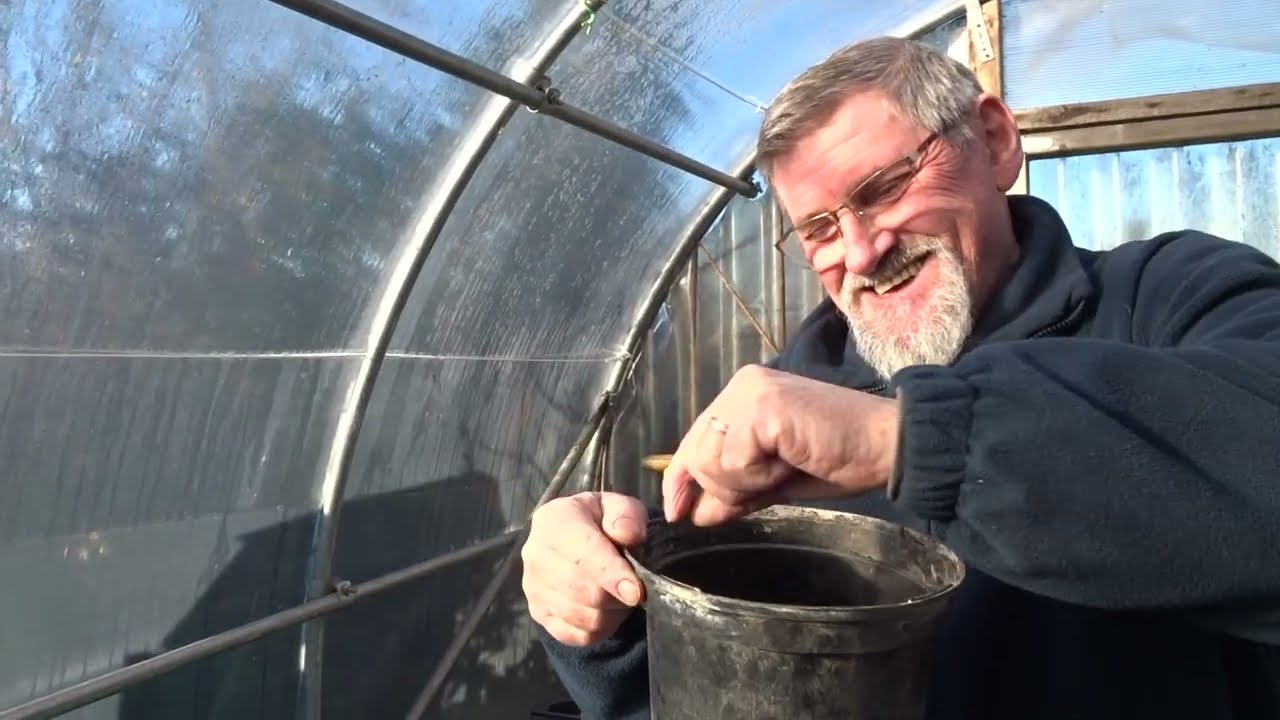 le 02/02/2025 : comment semer les poireaux d'été ?