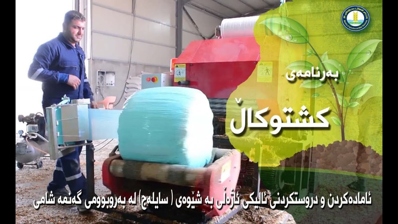 دروستکردنی ئالیکی ئاژەڵی بە شێوەی سایلەج لە  گەنمەشامی سەوز